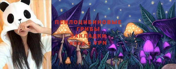 дживик Каменногорск