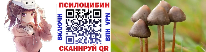 Купить Белорецк Галлюциногенные грибы прущие грибы